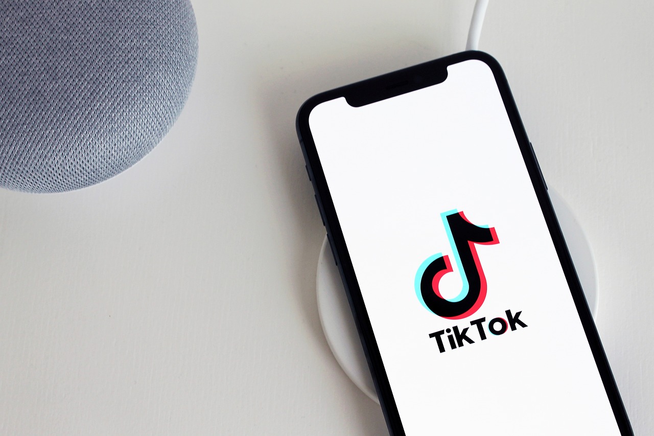 Meet the Trendsetters: 2024’s Top TikTok Influencers Unveiled